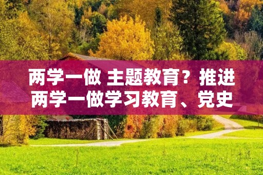 两学一做 主题教育?推进两学一做学习教育、党史学习教育指的是什么