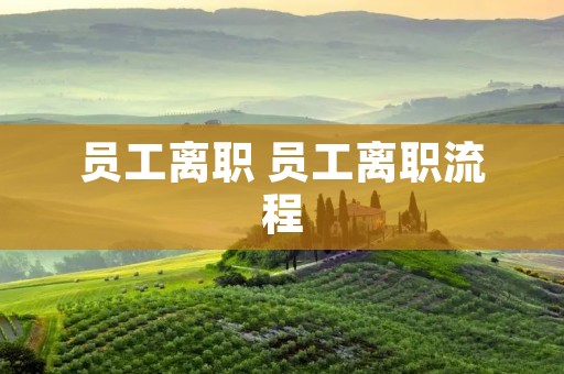 员工离职 员工离职流程 员工离职 员工离职流程