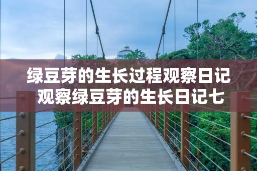 绿豆芽的生长过程观察日记 观察绿豆芽的生长日记七则 绿豆芽的生长过程观察日记 观察绿豆芽的生长日记七则