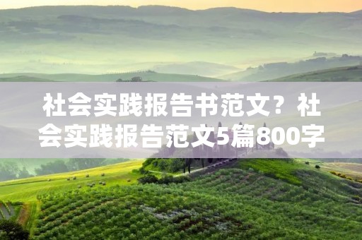 社会实践报告书范文?社会实践报告范文5篇800字 社会实践报告书范文?社会实践报告范文5篇800字