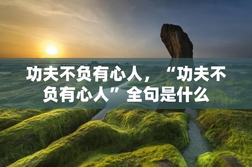 功夫不负有心人,“功夫不负有心人”全句是什么