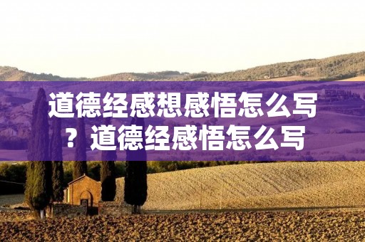 道德经感想感悟怎么写？道德经感悟怎么写