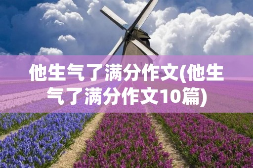 他生气了满分作文(他生气了满分作文10篇)