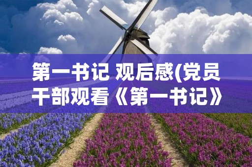 第一书记 观后感(党员干部观看《第一书记》观后感范文四篇)