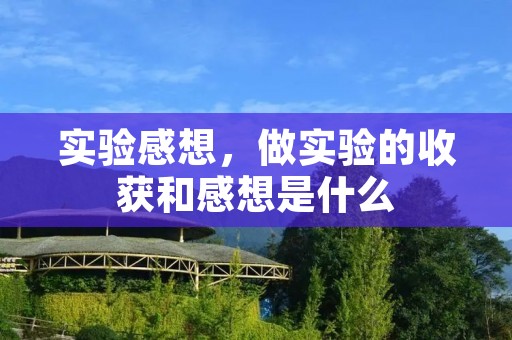 实验感想，做实验的收获和感想是什么