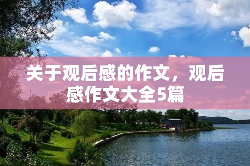 关于观后感的作文，观后感作文大全5篇