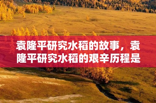 袁隆平研究水稻的故事，袁隆平研究水稻的艰辛历程是什么