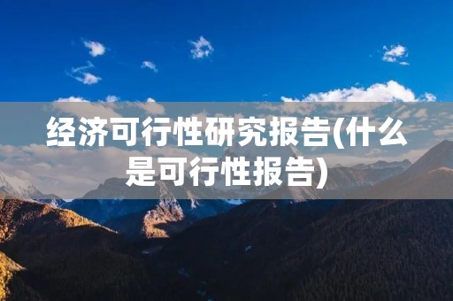 经济可行性研究报告(什么是可行性报告)