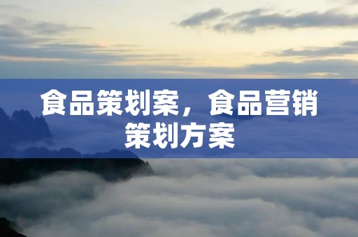 食品策划案,食品营销策划方案
