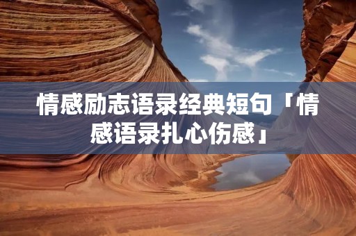 情感励志语录经典短句「情感语录扎心伤感」