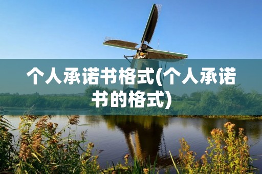 个人承诺书格式(个人承诺书的格式)