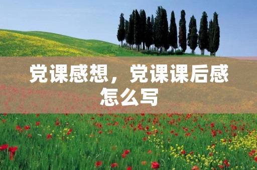 党课感想，党课课后感怎么写