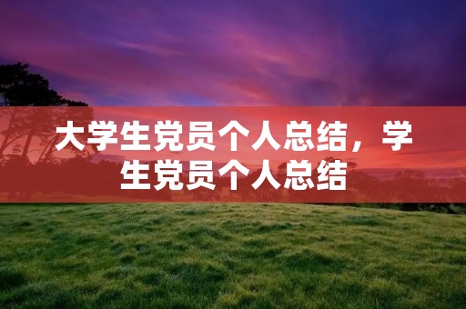 大学生党员个人总结，学生党员个人总结