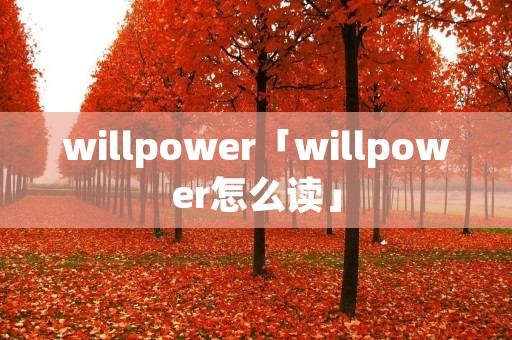 willpower「willpower怎么读」