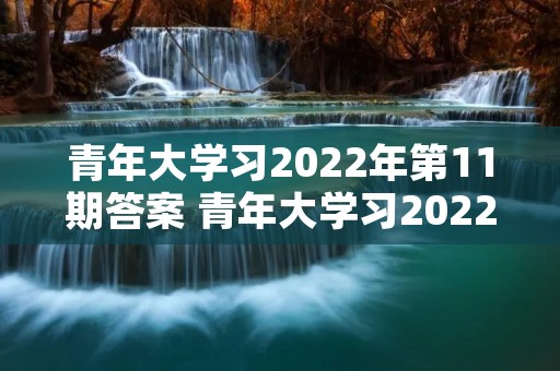 青年大学习2022年第11期答案 青年大学习2022年第五期打不开