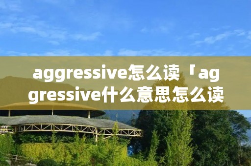 aggressive怎么读「aggressive什么意思怎么读」