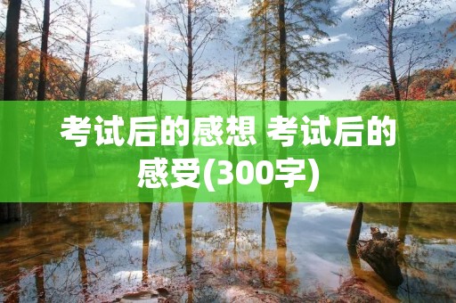 考试后的感想 考试后的感受(300字)