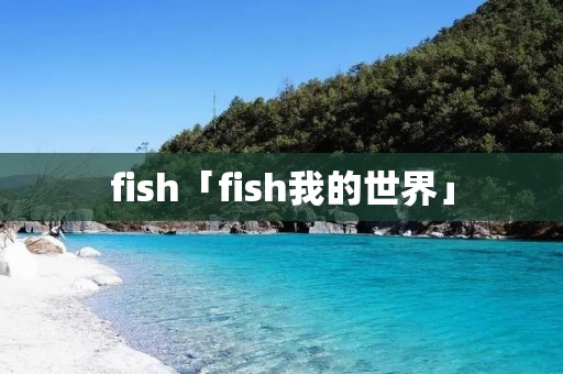fish「fish我的世界」 fish「fish我的世界」