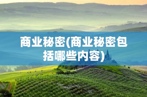 商业秘密(商业秘密包括哪些内容)