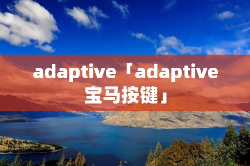 adaptive「adaptive宝马按键」
