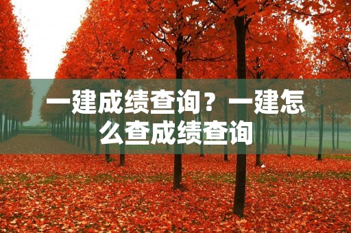 一建成绩查询?一建怎么查成绩查询 一建成绩查询?一建怎么查成绩查询