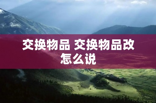 交换物品 交换物品改怎么说