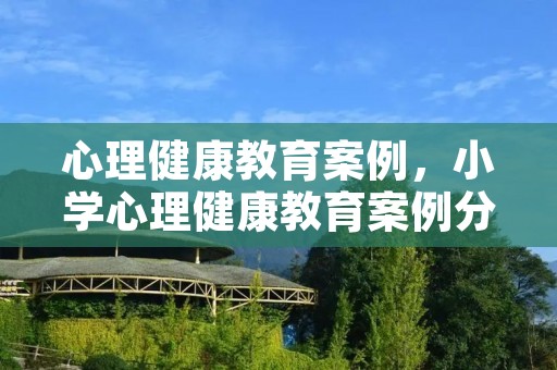 心理健康教育案例，小学心理健康教育案例分析