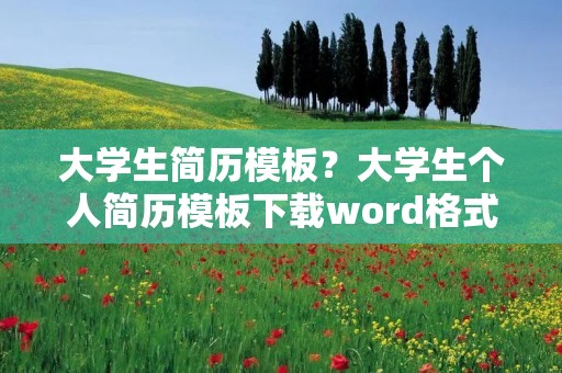 大学生简历模板?大学生个人简历模板下载word格式