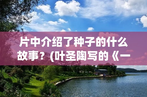 片中介绍了种子的什么故事？(叶圣陶写的《一粒种子》主要讲了什么事)