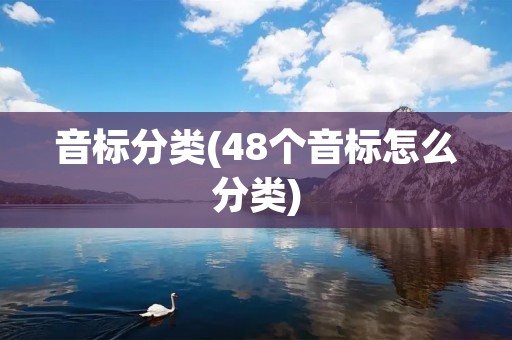音标分类(48个音标怎么分类)