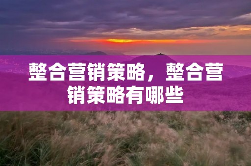 整合营销策略，整合营销策略有哪些