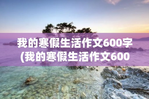 我的寒假生活作文600字(我的寒假生活作文600字左右)