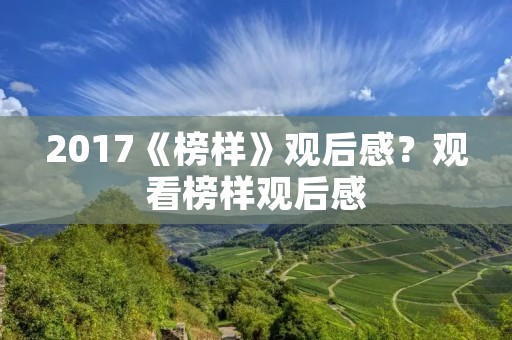 2017《榜样》观后感？观看榜样观后感