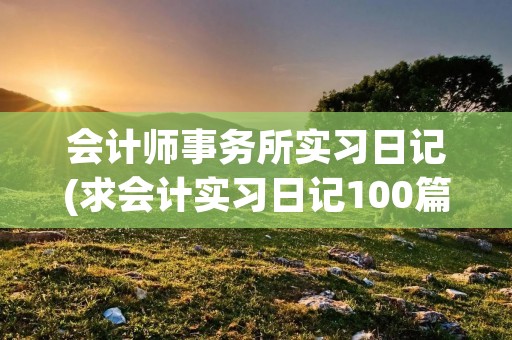 会计师事务所实习日记(求会计实习日记100篇)