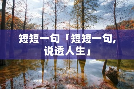 短短一句「短短一句,说透人生」