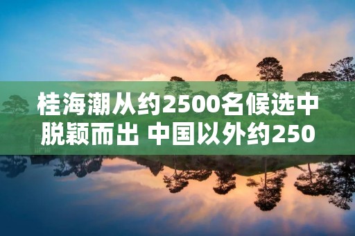 桂海潮从约2500名候选中脱颖而出 中国以外约2500万人正在学中文,你认为中文有何魅力 桂海潮从约2500名候选中脱颖而出 中国以外约2500万人正在学中文,你认为中文有何魅力