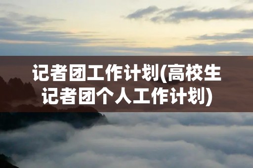 记者团工作计划(高校生记者团个人工作计划)
