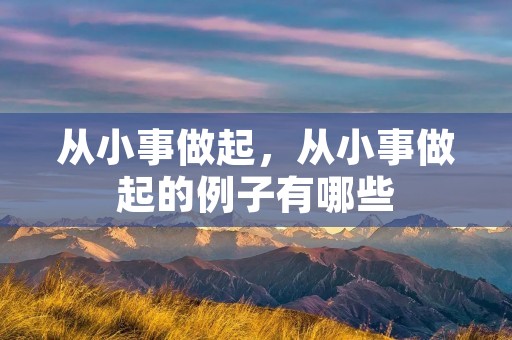 从小事做起，从小事做起的例子有哪些