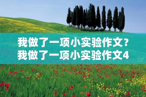 我做了一项小实验作文？我做了一项小实验作文400字