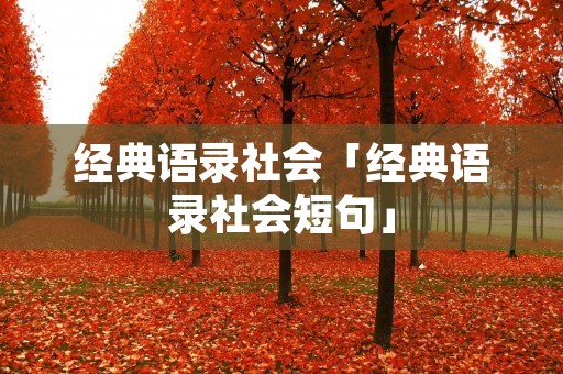 经典语录社会「经典语录社会短句」