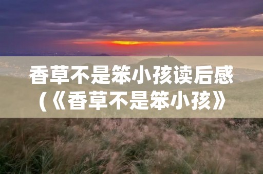 香草不是笨小孩读后感(《香草不是笨小孩》读后感)