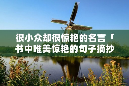 很小众却很惊艳的名言「书中唯美惊艳的句子摘抄」