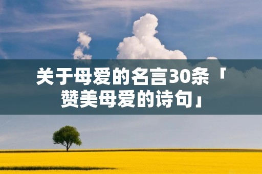 关于母爱的名言30条「赞美母爱的诗句」