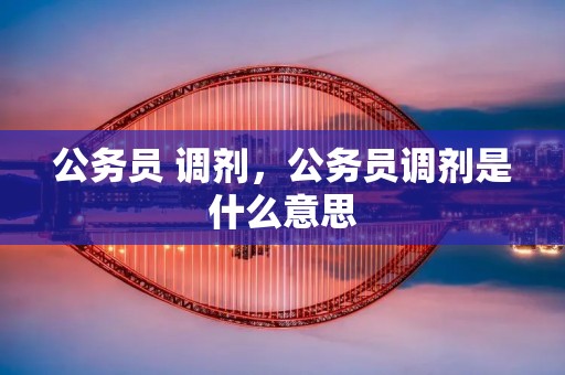 公务员 调剂,公务员调剂是什么意思