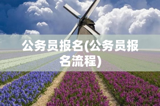 公务员报名(公务员报名流程) 公务员报名(公务员报名流程)