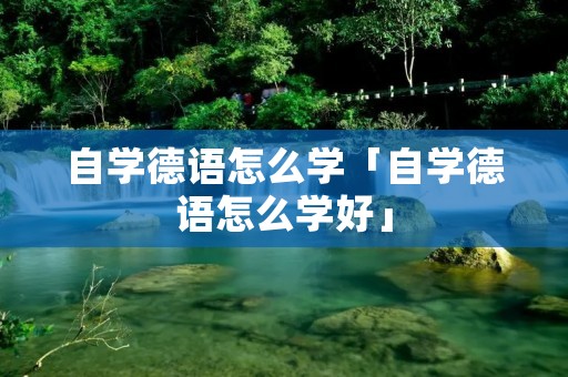 自学德语怎么学「自学德语怎么学好」