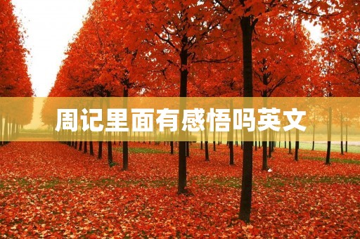周记里面有感悟吗英文