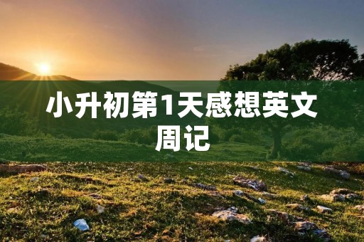 小升初第1天感想英文周记