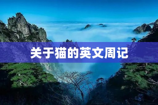 关于猫的英文周记