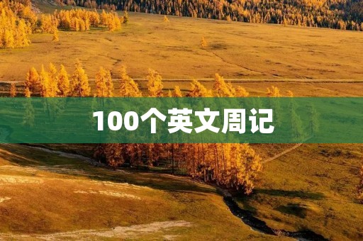 100个英文周记